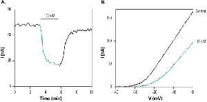 κ-Conotoxin RIIIJ