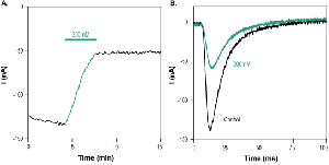 Ceratotoxin-1