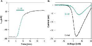 ω-Conotoxin CVIA