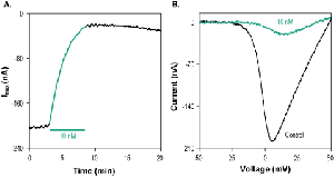 ω-Conotoxin CVIE