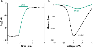 ω-Conotoxin CVIF