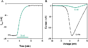 ω-Conotoxin FVIA