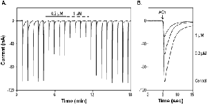 α-Conotoxin SI