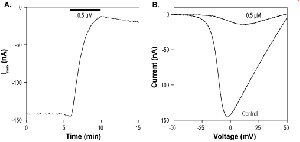 ω-Conotoxin RVIA