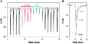 α-Conotoxin PIA