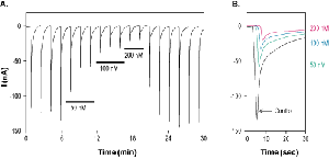 α-Conotoxin PeIA