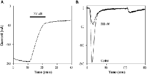 GpTx-1