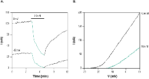 HsTx1 Toxin