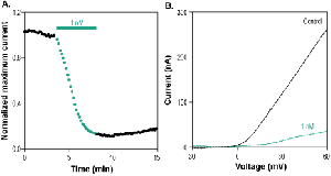 Hongotoxin-1