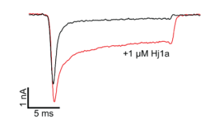 Hj1a Toxin