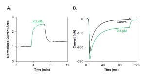 Hj2a Toxin