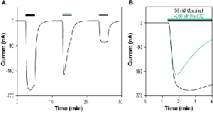 MmTx2 Toxin
