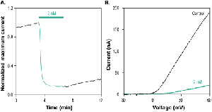 OsK-1 Toxin