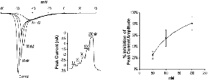 ProTx-II