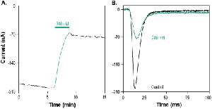 Phlo1b