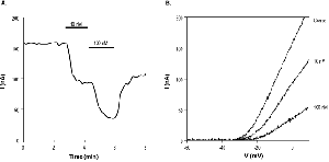 Pandinotoxin Kα