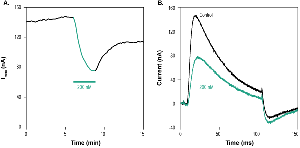 Phrixotoxin-2