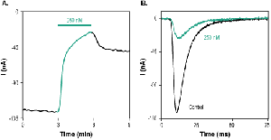 Phrixotoxin-3