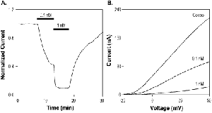 Spinoxin