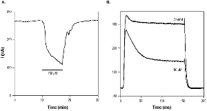 Trimethylapigenin