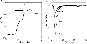 (Rac)-TTA-P2
