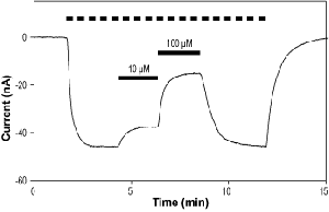 UBP 282