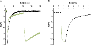 Veratridine