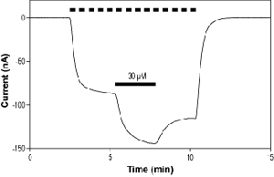 VU0529331