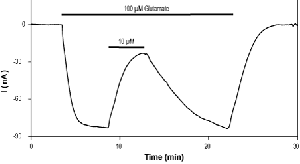 YM 90K hydrochloride