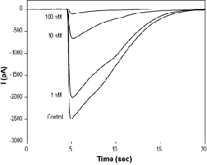 Zacopride (hydrochloride)