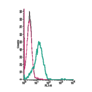 Anti-Human Orai1 (extracellular) Antibody