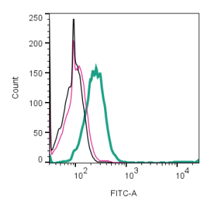Myrmicitoxin1-Pm1a