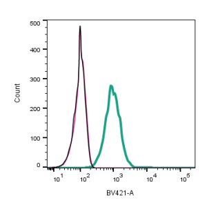 Anti-P2Y12 Receptor (extracellular) Antibody
