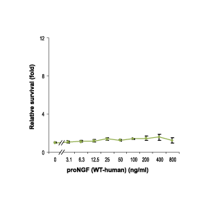 Recombinant human proNGF protein