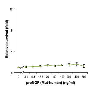 Recombinant human proNGF (cleavage resistant) protein
