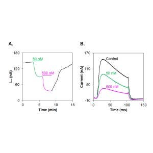 Jingzhaotoxin-X