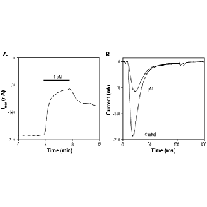 ProTx-I