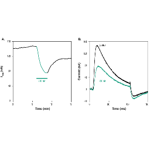 Phrixotoxin-2