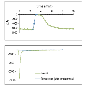 Tetrodotoxin citrate