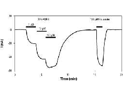 (RS)-AMPA