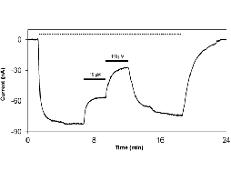 (S)-ATPO
