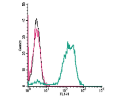 Anti-Human TRPV2 (VRL1) (extracellular) Antibody
