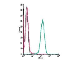 Anti-Human Cannabinoid Receptor 2 (extracellular) Antibody