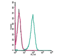 Anti-Human CCR5 (extracellular) Antibody