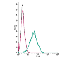 Anti-CNTFRα (extracellular) Antibody
