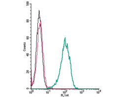 Anti-Human FPR2/ALX (extracellular) Antibody