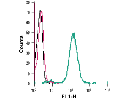Anti-GPR68 (OGR1) (extracellular) Antibody