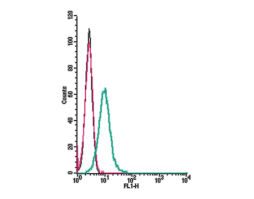 Anti-Human Histamine H<sub>4</sub> Receptor (HRH4) (extracellular) Antibody