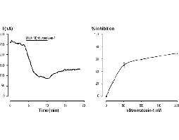 Stromatoxin-1