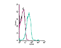 Anti-K<sub>V</sub>1.3 (KCNA3) (extracellular) Antibody